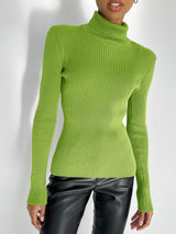 Solid Color Turtleneck Bodycon Sweater