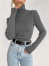 Solid Color Turtleneck Bodycon Sweater