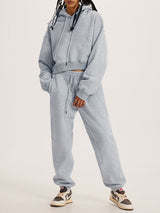 Thick Plush Hoodies Solid Short Top & Long Pants Set