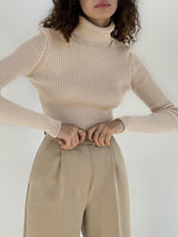 Solid Color Turtleneck Bodycon Sweater