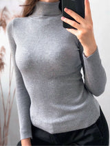 Turtleneck Knit Pullover