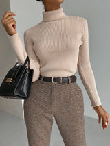 Solid Color Turtleneck Bodycon Sweater