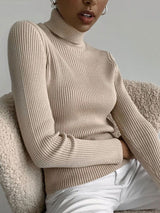 Turtleneck Knit Pullover