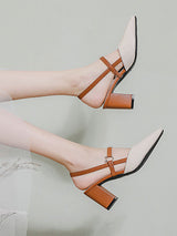 Pointed Toe Buckle Chunky Heel Sandals